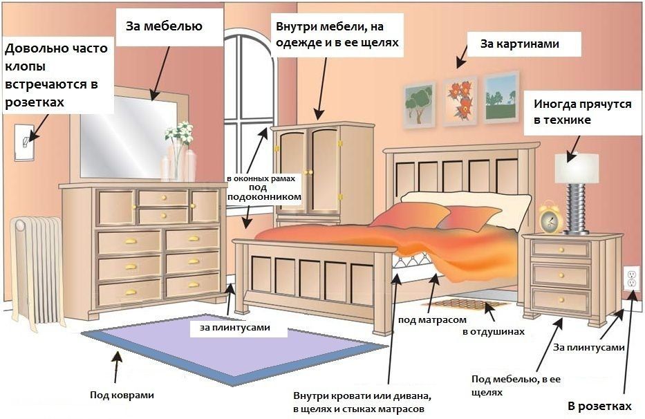 Обработка от клопов квартиры в Нижнекамске