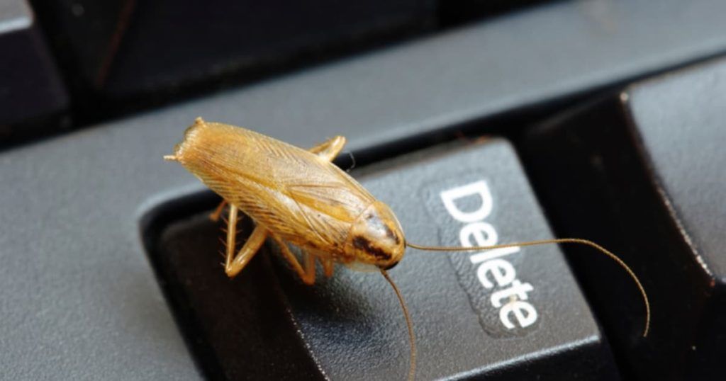 Уничтожение тараканов в офисе в Нижнекамске